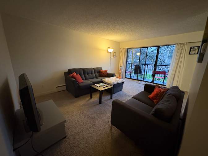 Mobina Ghanbarian's room