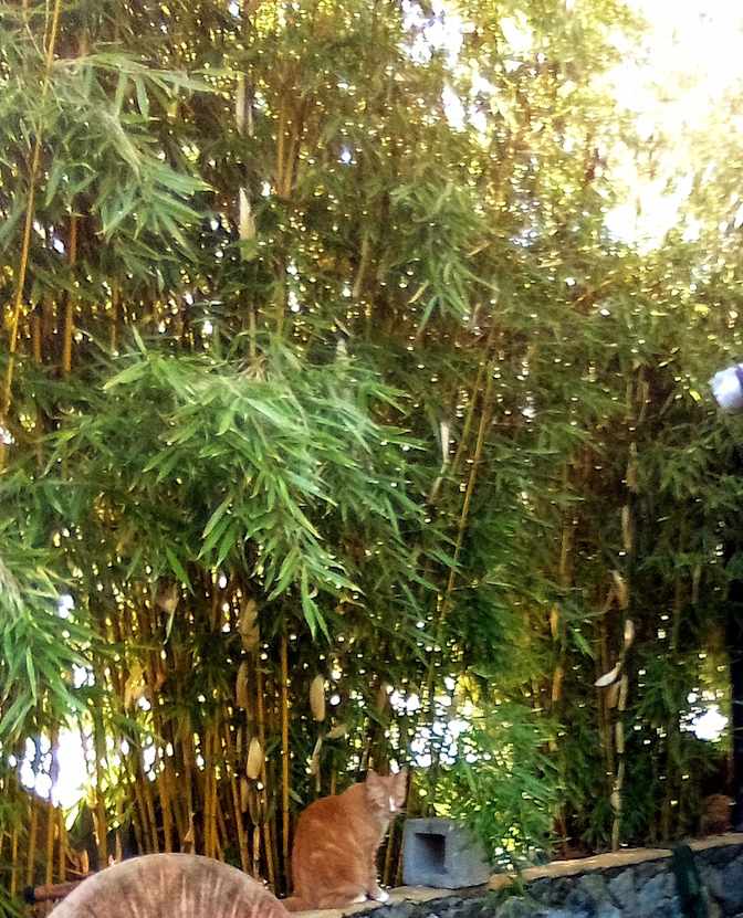 Photo of Barbara's room