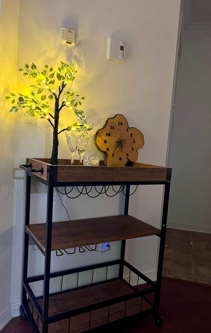 Photo of Taneesha's room