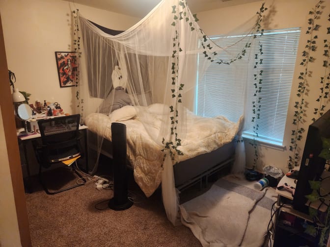 Photo of Jane's room