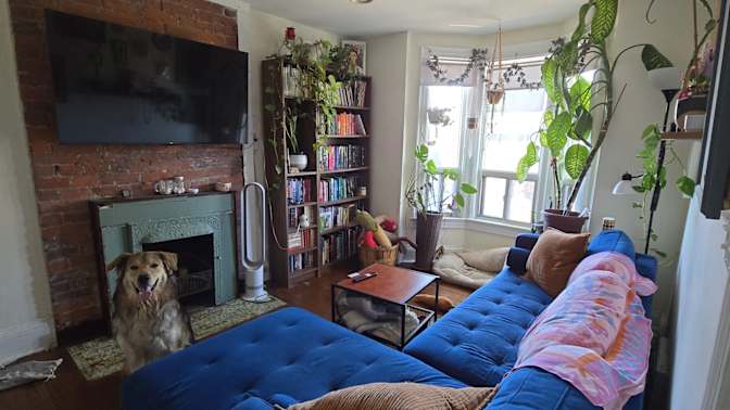 Lizzy Downes-Thom's room