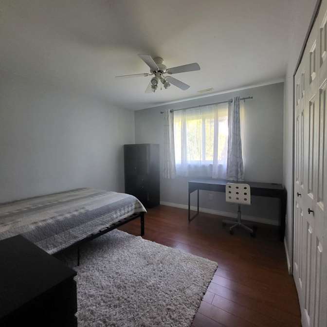 Photo of Irina's room