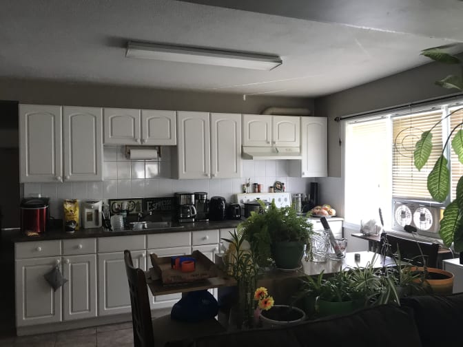 Photo of robert's room