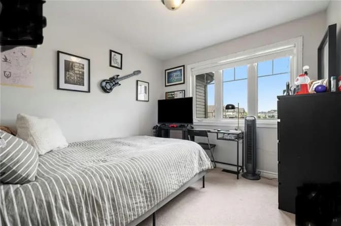 Professional female and a cat's room