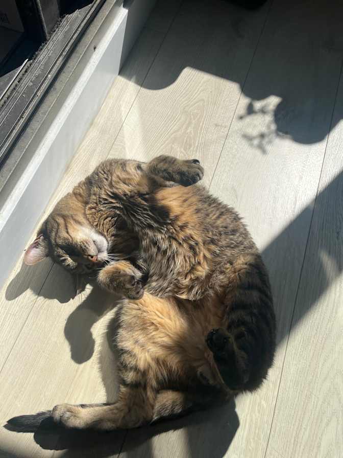 Photo of Rachel's room