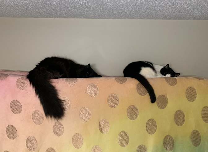 Photo of Andre's room