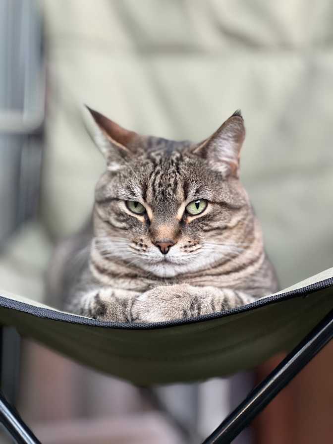 Photo of Shyloh's room