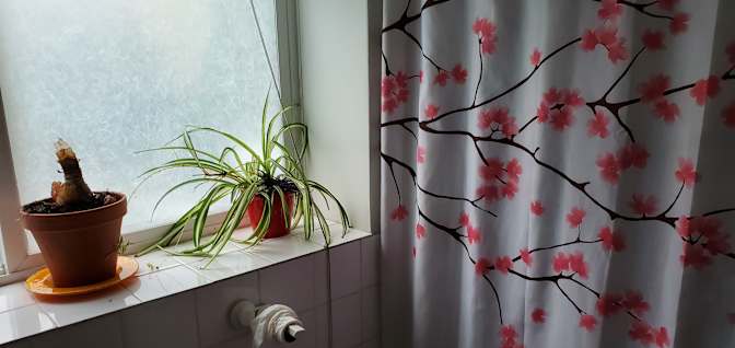 Photo of Sophia's room