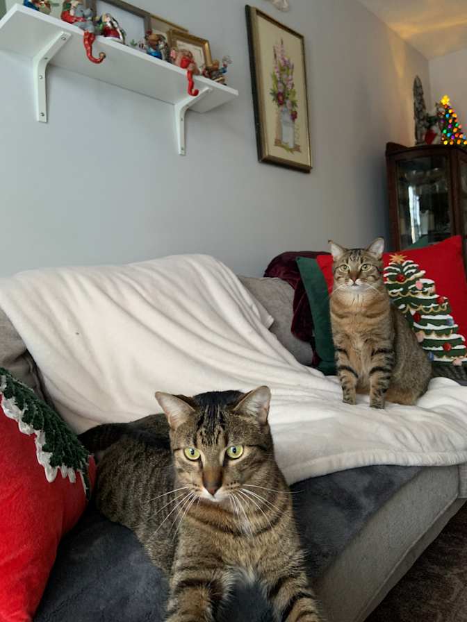 Photo of Steffany's room