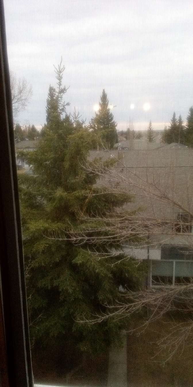 Photo of Semra's room