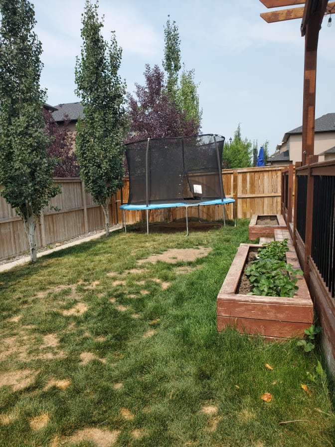 Long (Tony) Duong's room