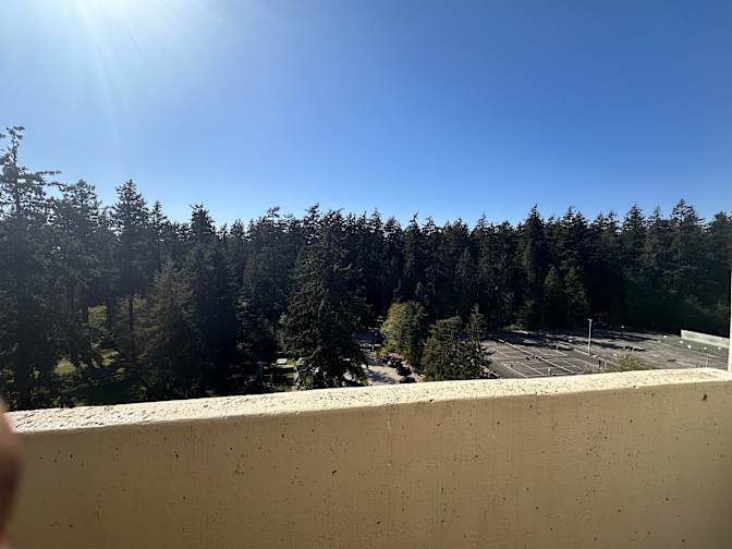 Ritteen Raphel's room