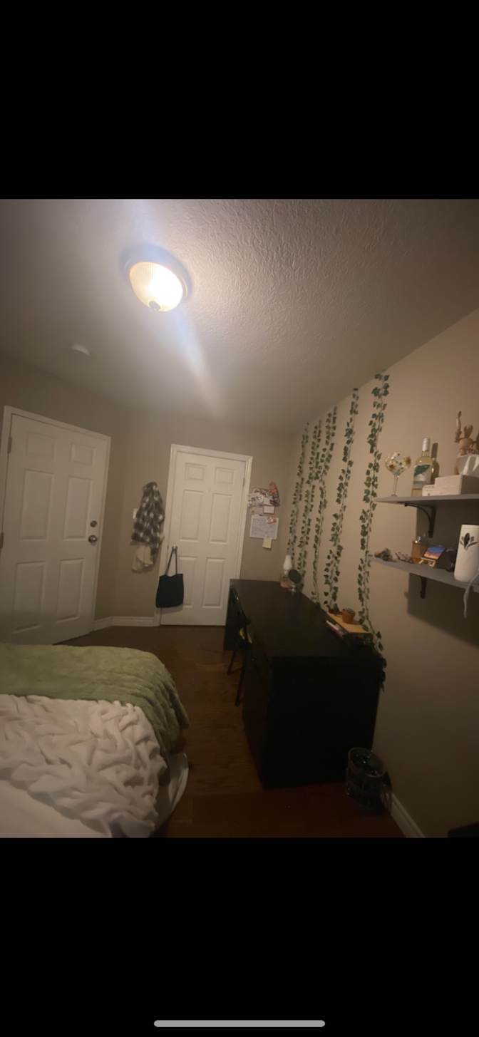Alyvia Dodsworth's room