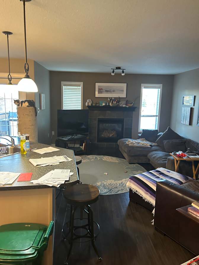 Michael Parkes's room