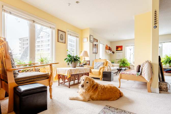 Photo of Khush's room