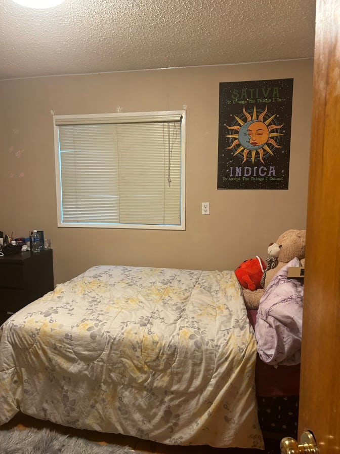 Photo of Amy & Lorraine's room