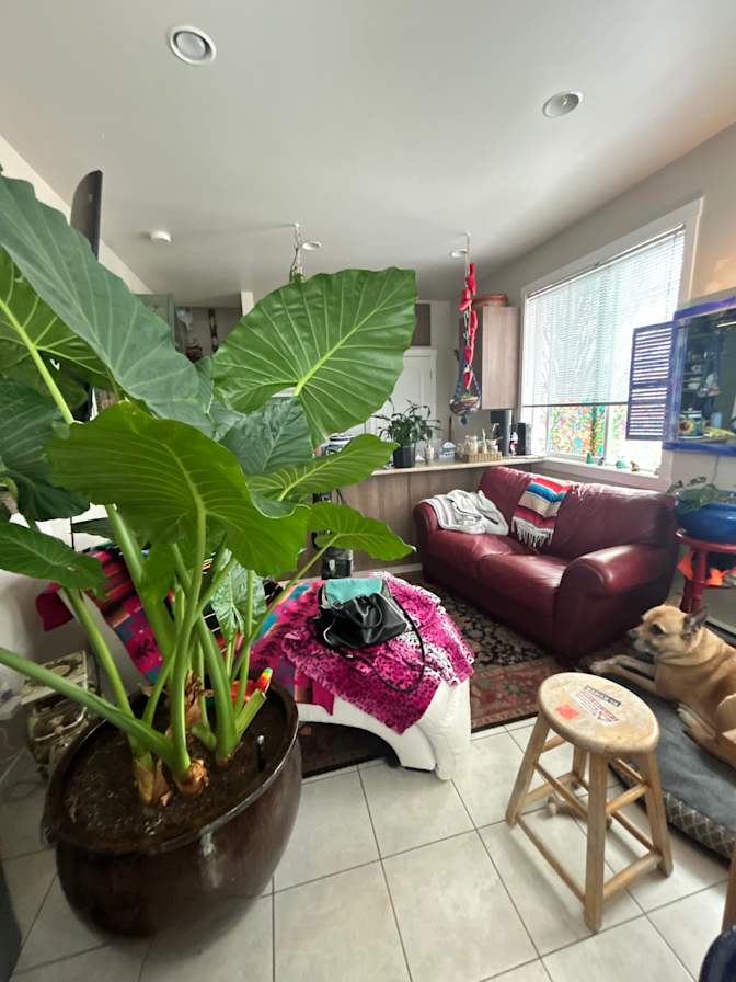 Photo of Claudine's room