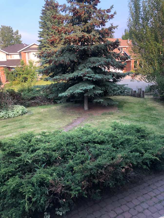 Steve Tanasiuk's room