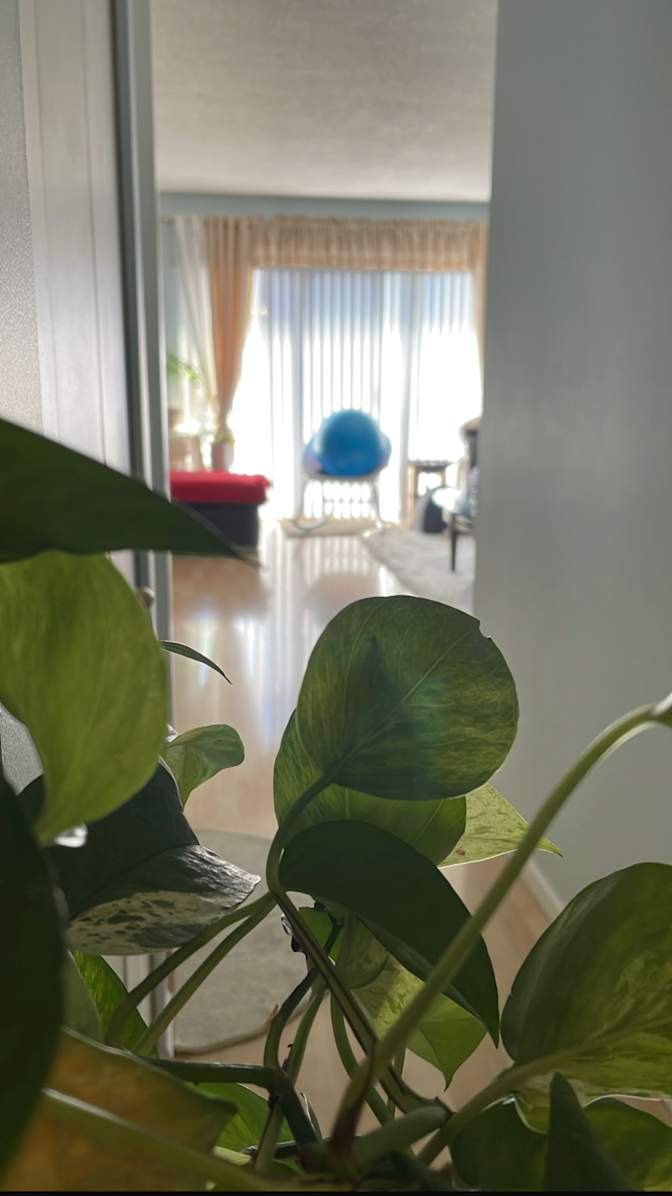 Photo of Lady Tu's room