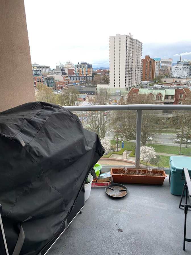 Luke Pomerance's room