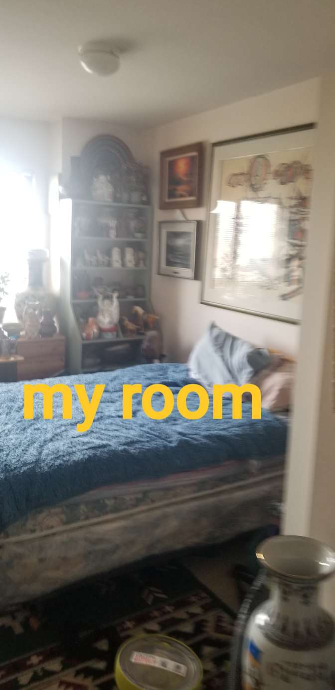 Photo of Salam kahil's room