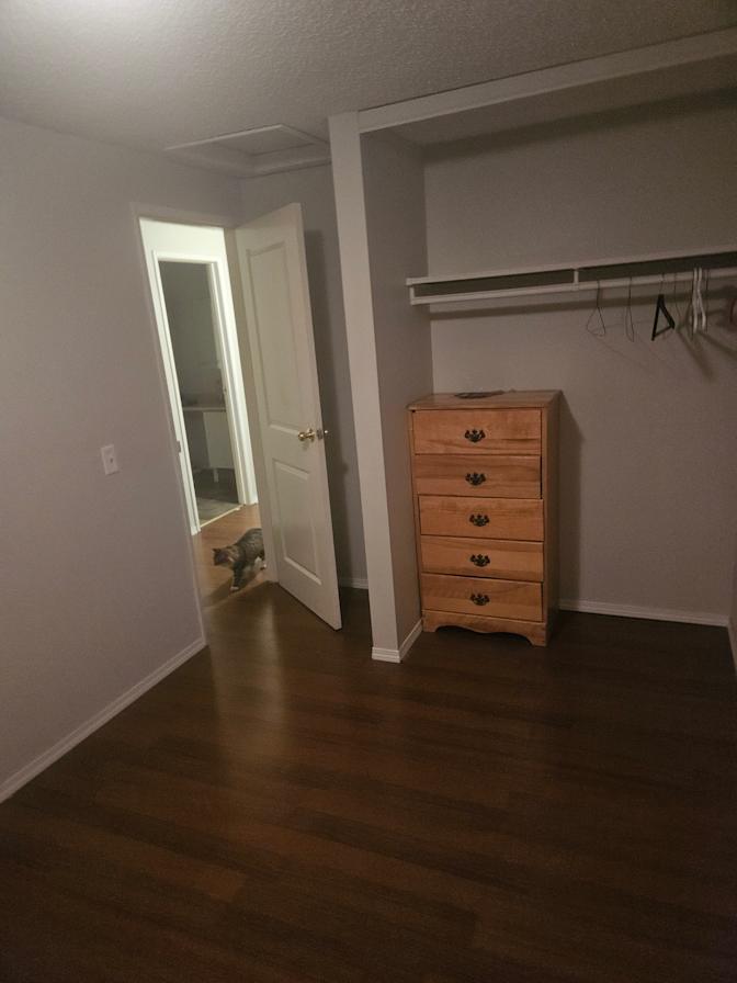 Photo of Gordon's room