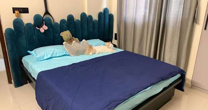 Photo of Shruti Gopireddy's room