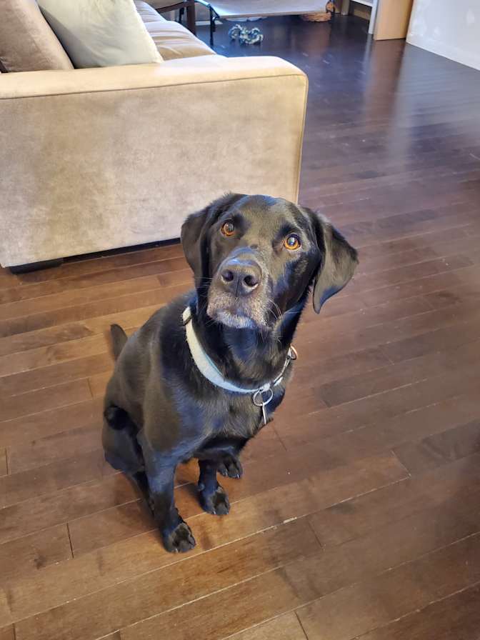 Photo of Carissa's room