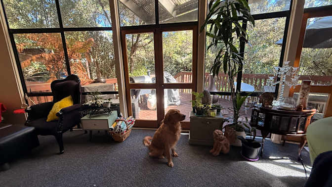 Photo of Lukas's room