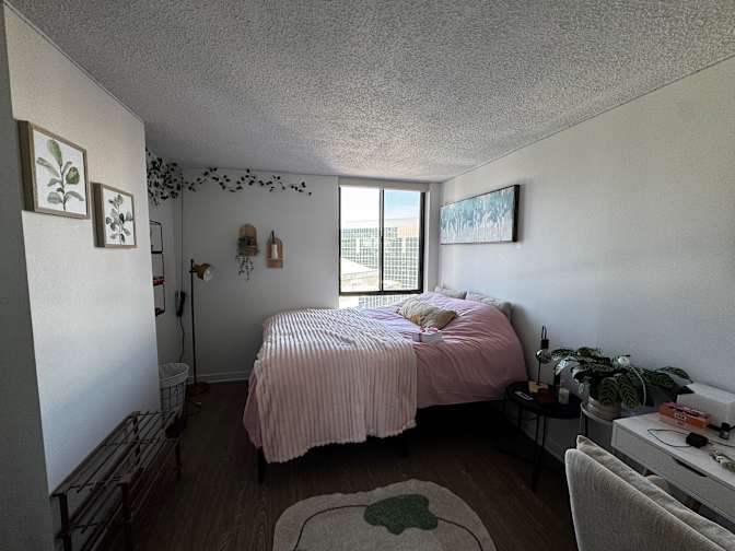 Photo of Aylár's room