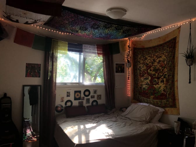 Photo of Ollie's room