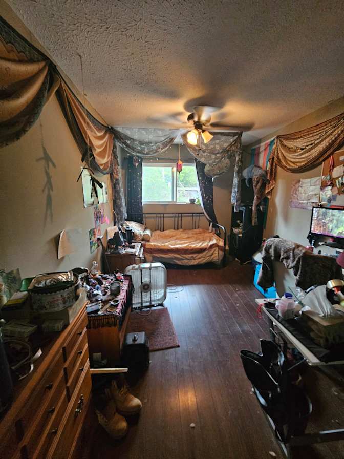 Photo of Sypress's room