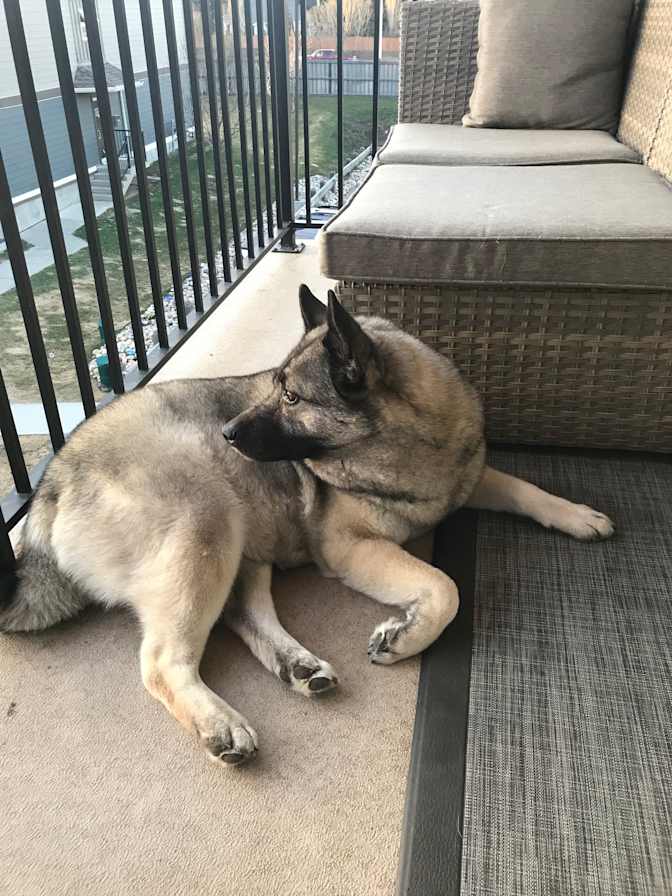 Photo of Brian's room