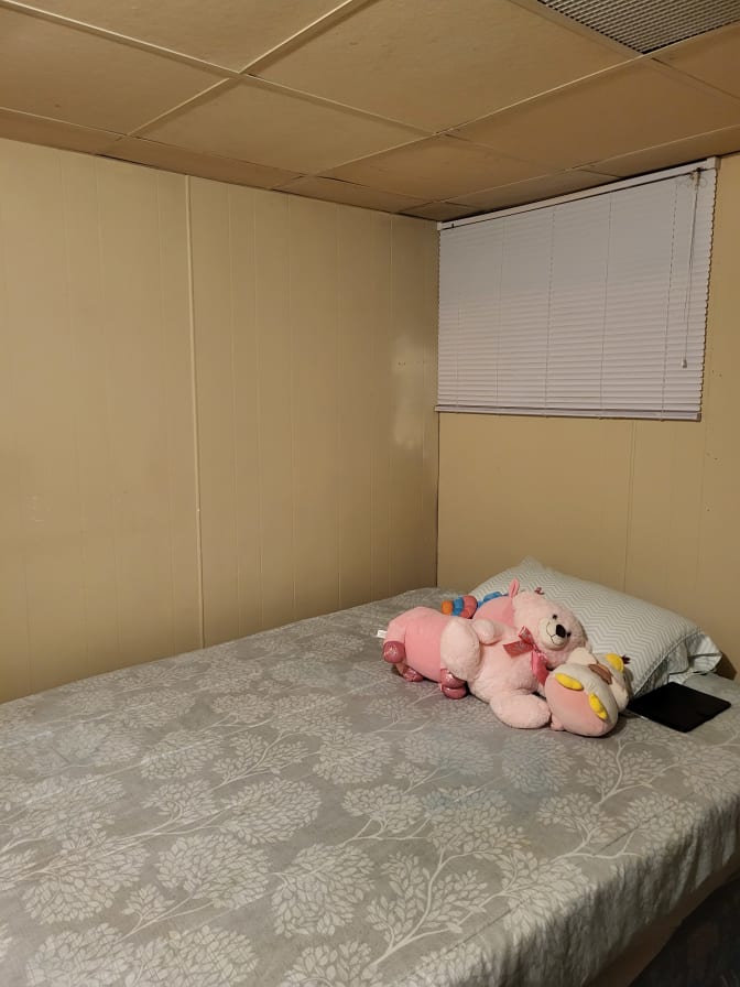 Photo of Suman's room