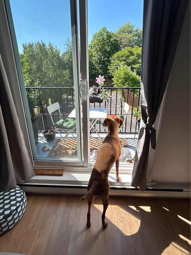 Photo of Bridget's room