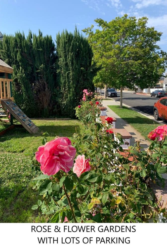 Photo of Rose's room