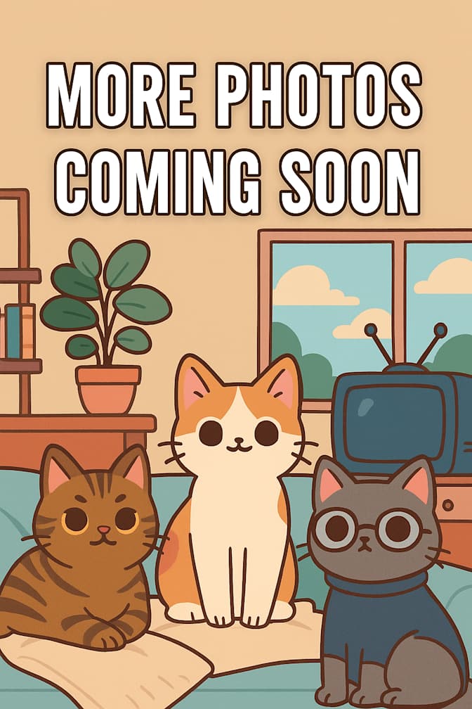 Rowan Labelle's room