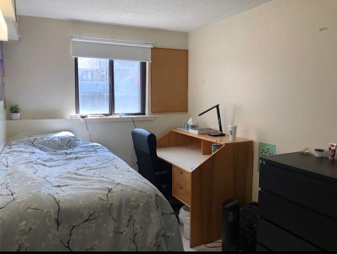 Meray Amin Philobbos's room