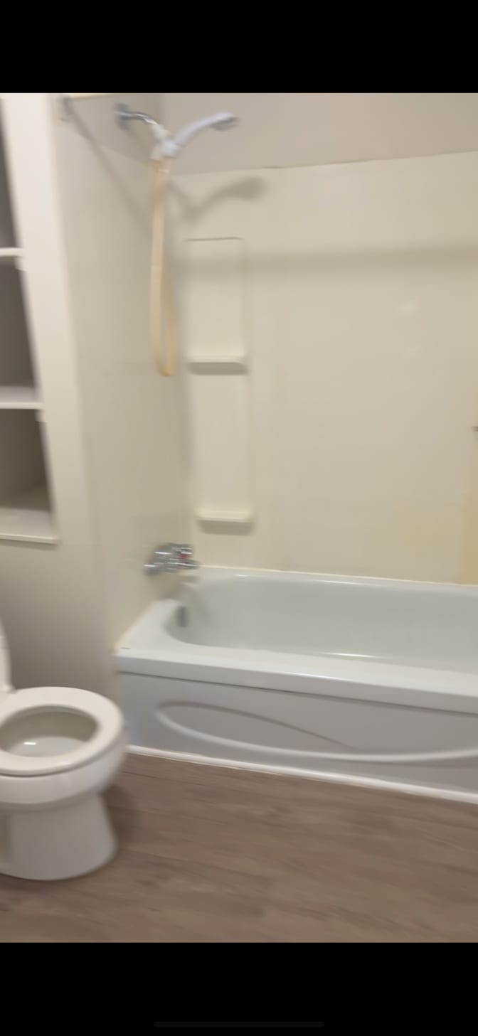 Cassidy  Elgert's room