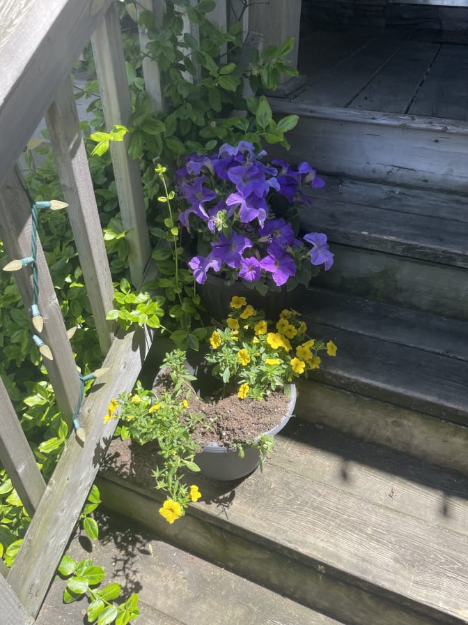 Photo of Adam's room