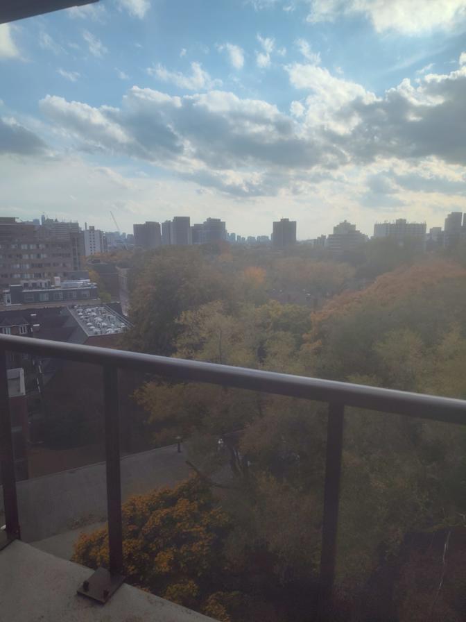 Nishant Chaudhary (Nish)'s room