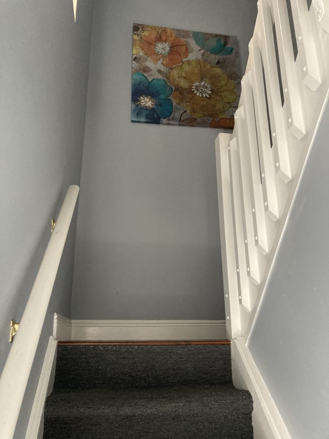 Photo of Buddy's room