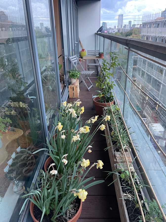 Photo of Jan's room
