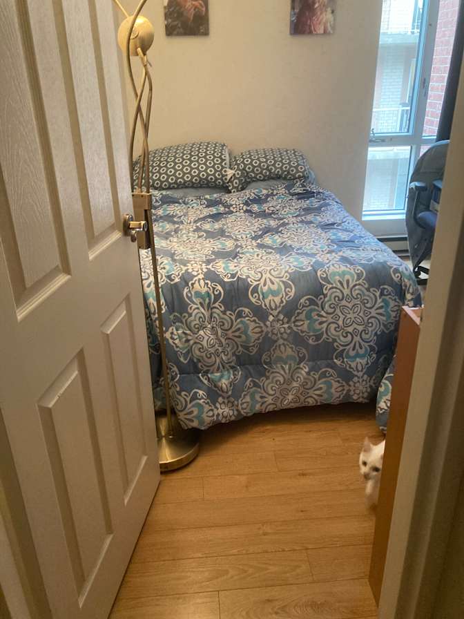 Photo of Sean's room