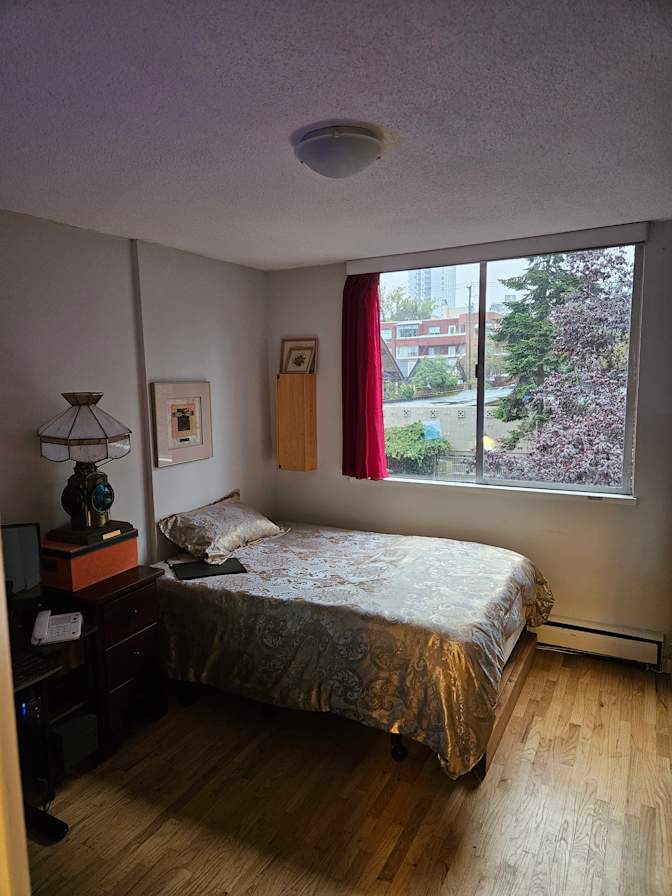 Photo of Colette's Micro-Lounge's room