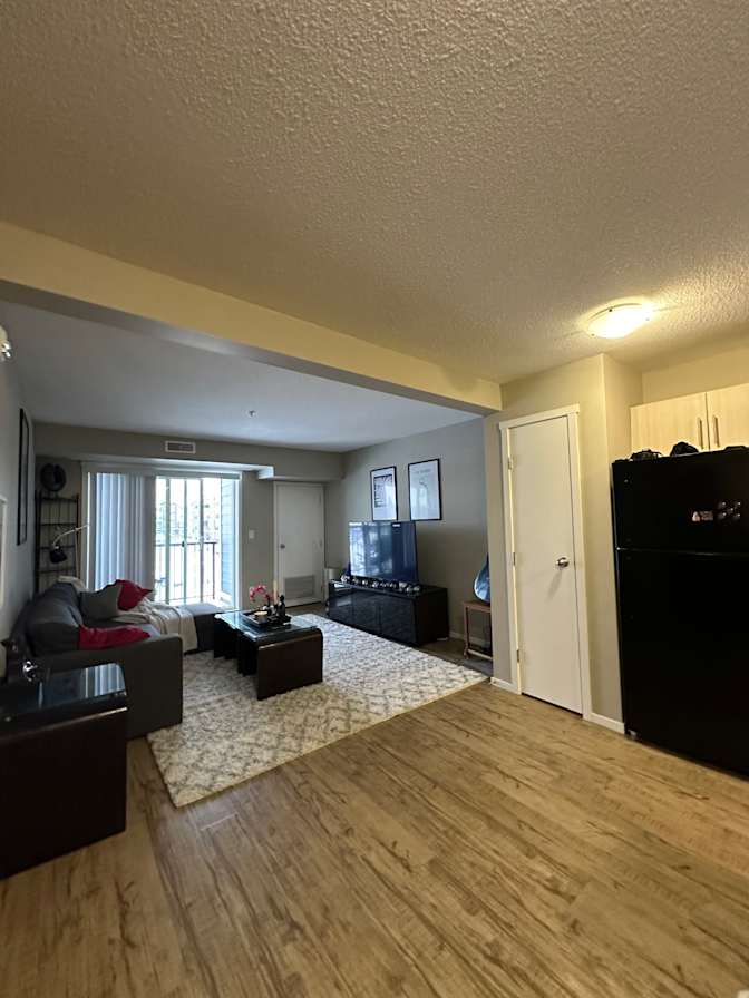 Photo of Holly's room