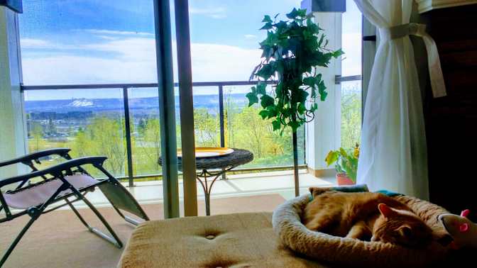 Brigitte Doherty's room