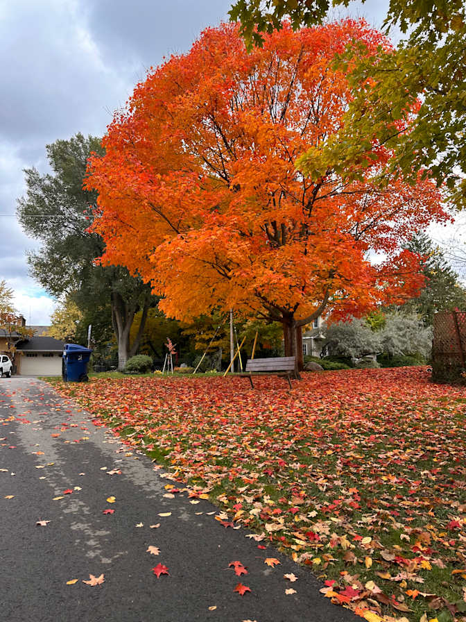 Photo of Salma's room