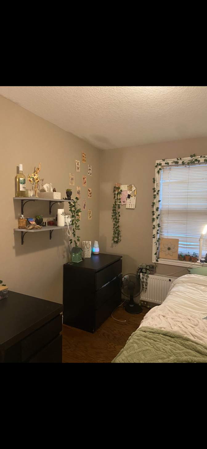 Alyvia Dodsworth's room