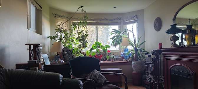 Photo of David's room